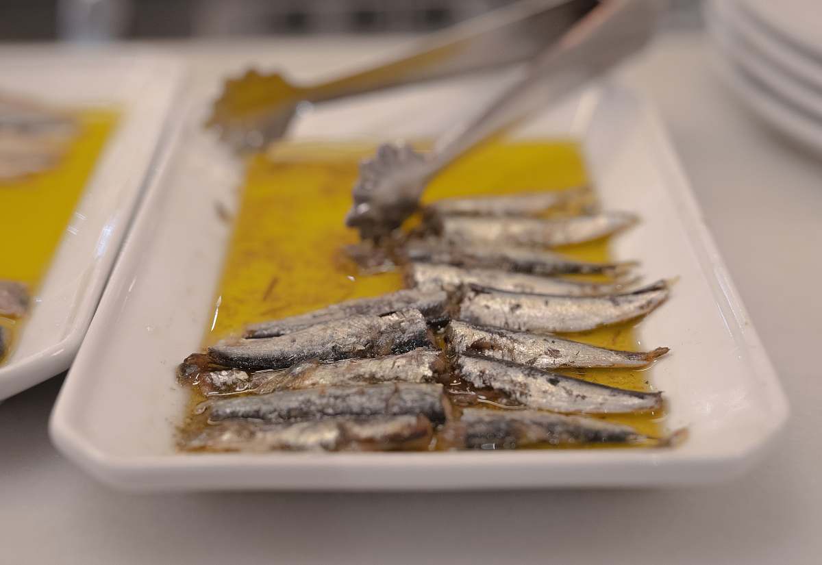 herring sardines in white serving platter fish